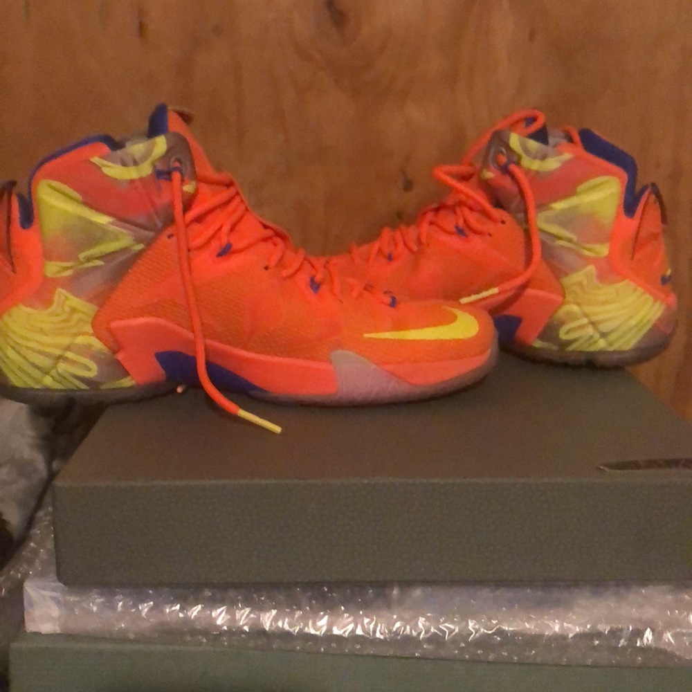 Lebrons - Picture 5 of 7